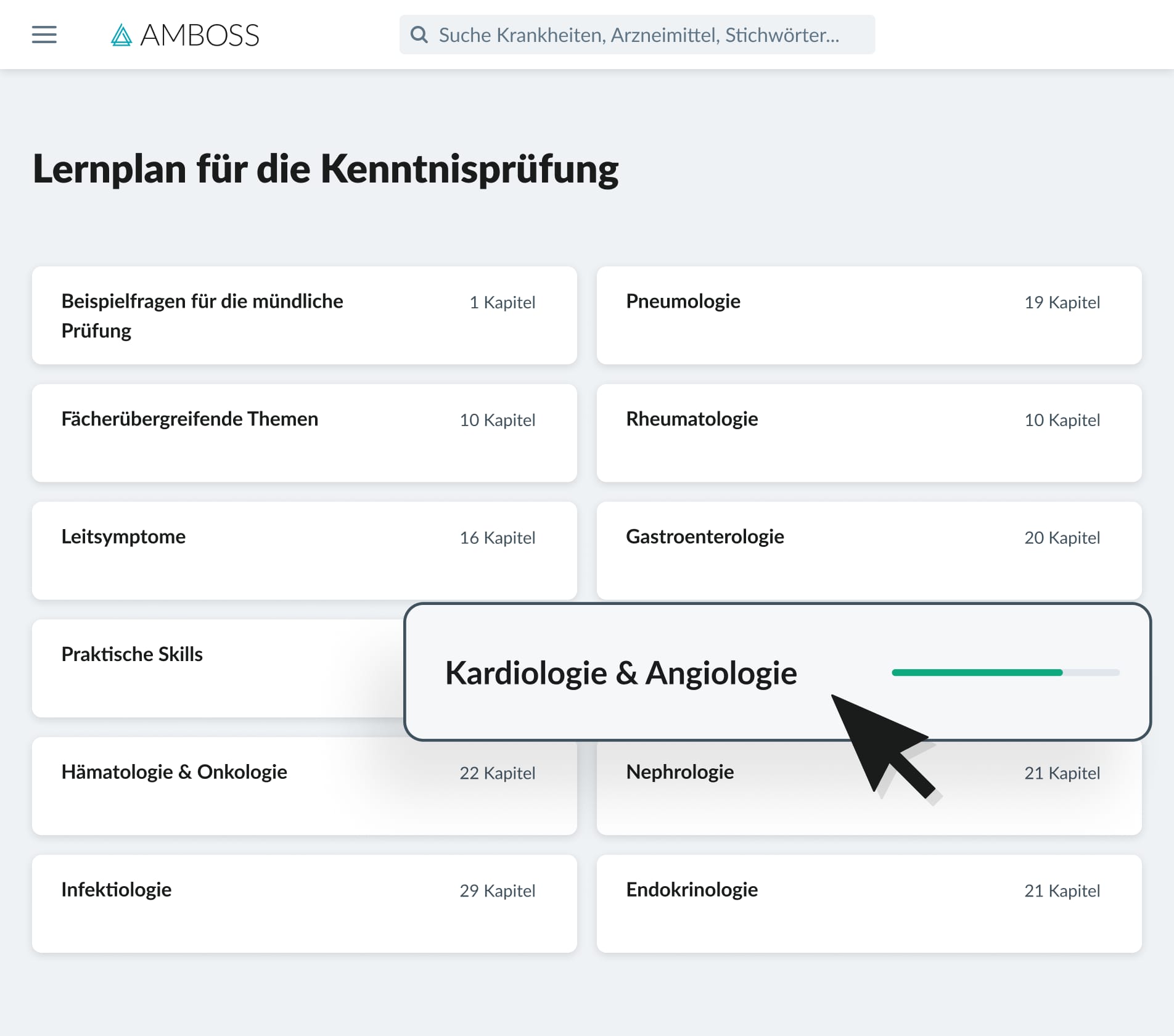 AMBOSS Kenntnisprüfung Lernplan